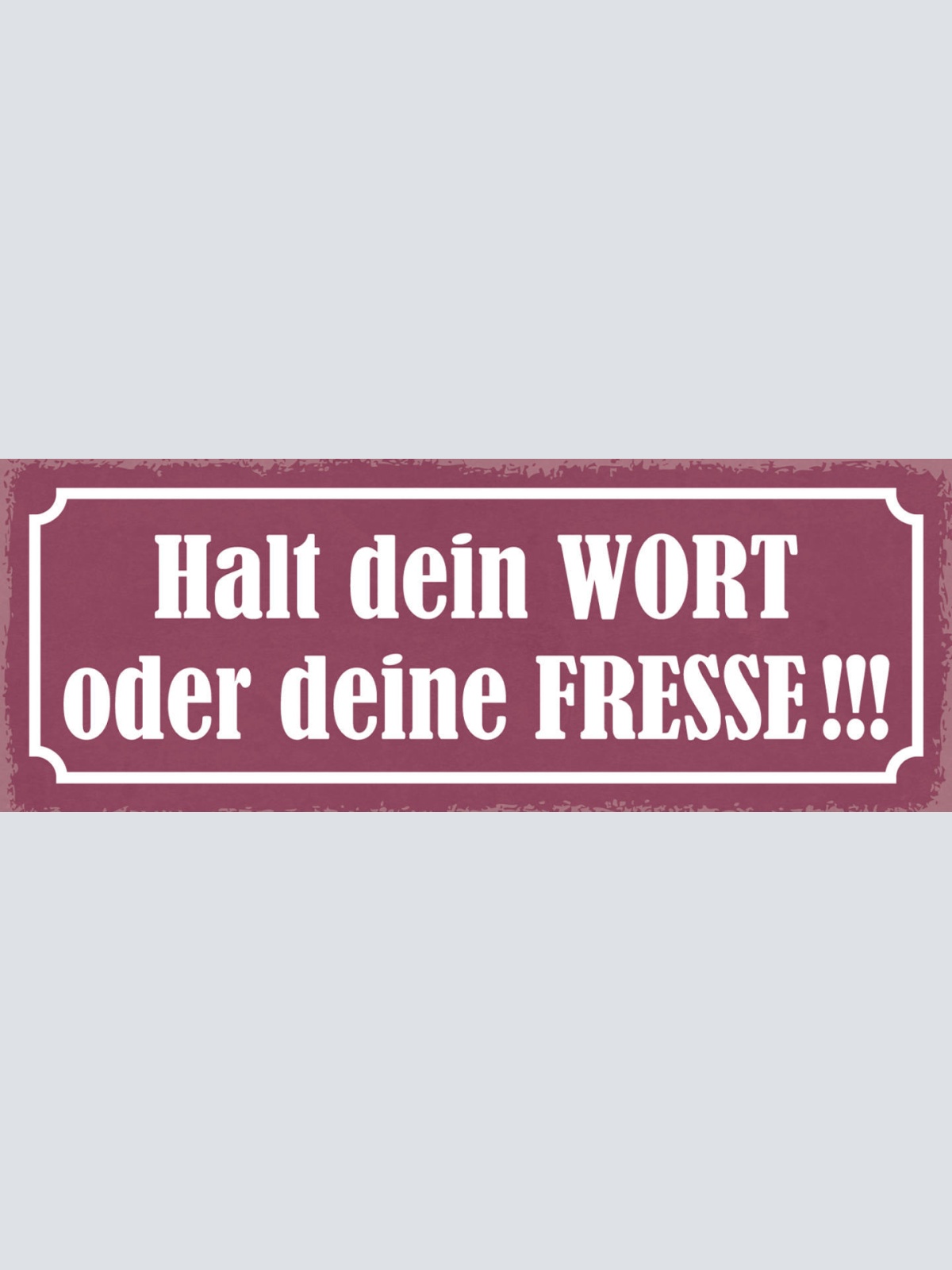 Schild Halt Dein Wort Oder Deine Fresse Versprechen Halten 27x10 Blech od.Holz