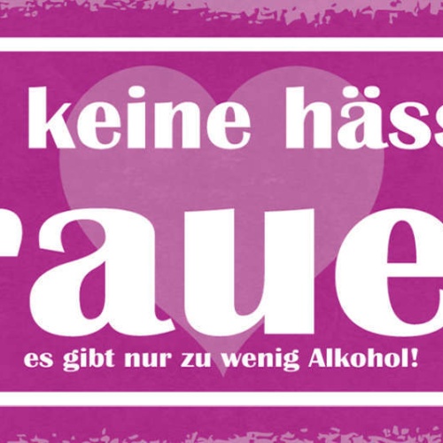 Schild Es Gibt Keine Hässlichen Frauen Nur Zu Wenig Alkohol 27x10 Blech od.Holz