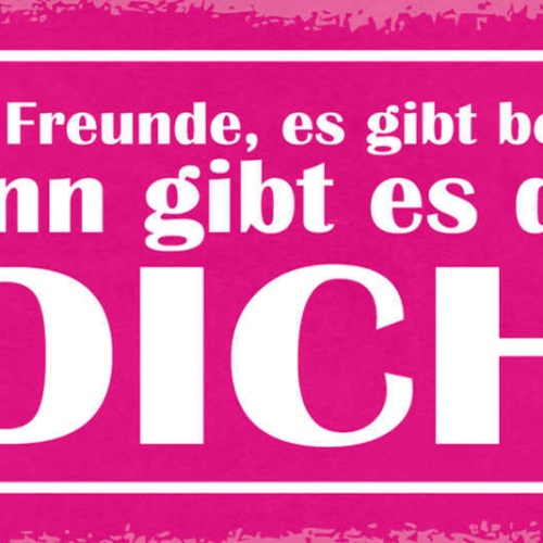 Schild Es Gibt Gute Freunde Best Freunde & Dann Gibt Es Da Noch Dich Liebe 27x10