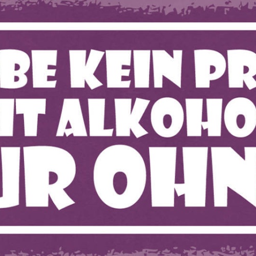 Schild Ich Hab Kein Problem Mit Alkohol Nur Ohne Bier 27x10 Blech od.Holz