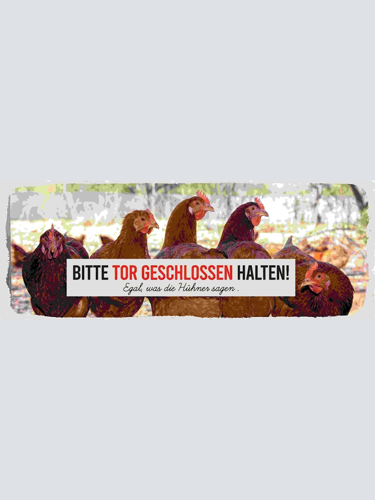 Schild Bitte Tor Geschlossen Halten Egal Was Die Hühner Sagen 27x10Blech od.Holz