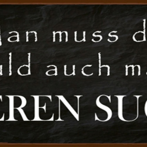 Schild Man Muss Die Schuld Auch Mal Bei Anderen Suchen 27 x 10 Blech od.Holz