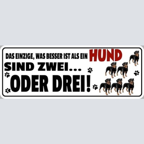 Schild das einzige was besser ist als ein hund sind 2 oder 3 27x10 blech od.holz