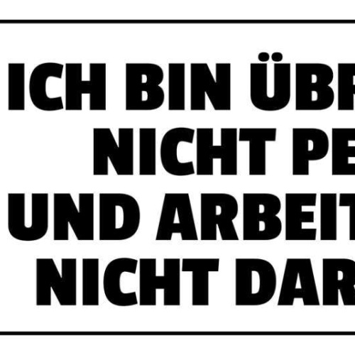 Schild Ich Bin Übrigens Nicht Perfekt & Arbeite Auch Nicht Daran Körper 27 x 10