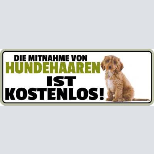 Schild die mitnahme von hunde haare ist kostenlos 27 x 10 blech od. holz