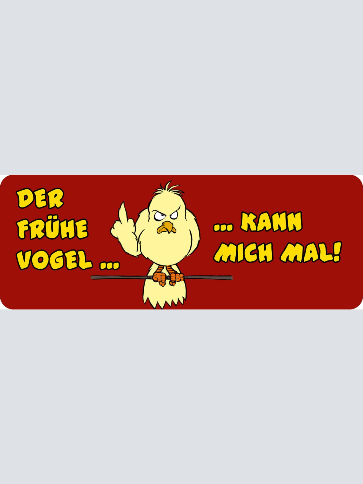 Schild Der Frühe Vogel Kann Mich Mal Morgen Früh Aufstehen 27x10 Blech od.Holz
