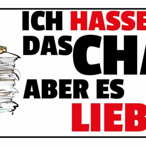 Schild Ich Hasse Das Chaos Aber Es Liebt Mich Unordnung 27x10 Blech od.Holz