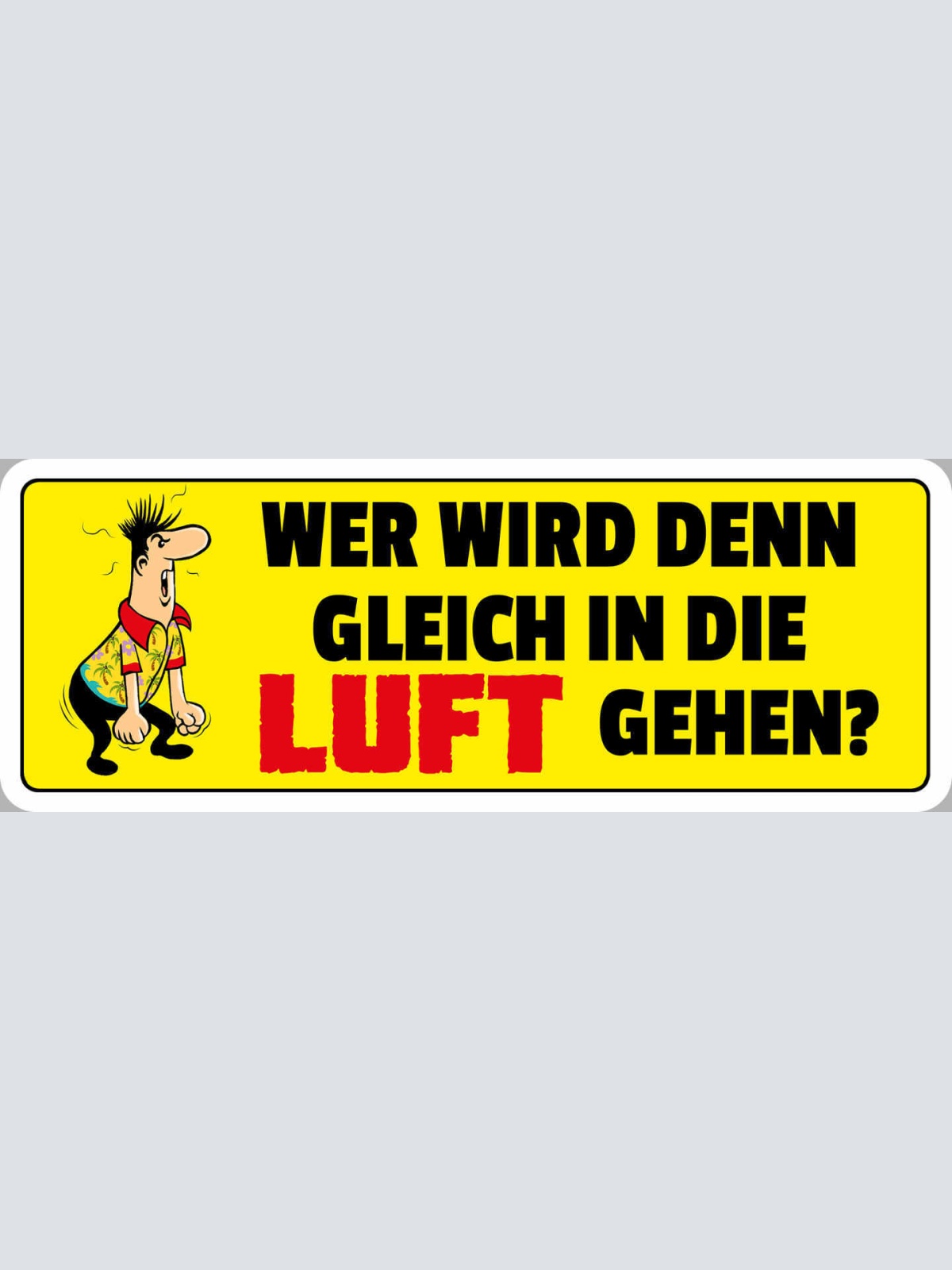 Schild Wer Wird Den Gleich In Die Luft Gehen Aufregen 27 x 10 Blech od. Holz