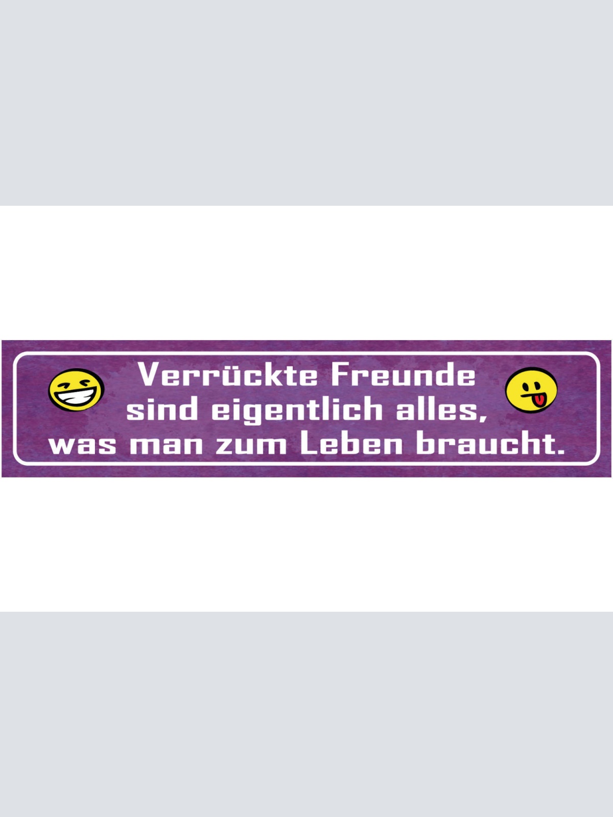 Schild Verrückte Freunde Alles Was Man Zum Leben Braucht 46 x 10 Blech od. Holz