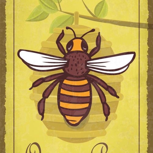 Schild Queen Bee Biene Königin Honig Imker 12x18 / 20x30 / 30x40 Blech od. Holz