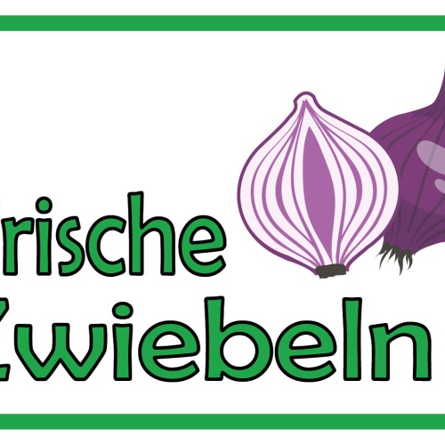 Schild Frische Zwiebeln Gemüse Verkauf 12x18 / 20x30 / 30x40 Blech od. Holz