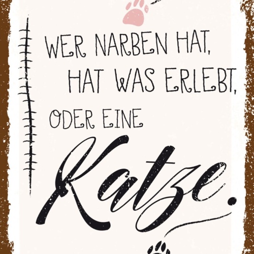 Schild Wer Narben Hat Hat Was Erlebt Oder Katze 12x18 20x30 30x40 Blech/Holz