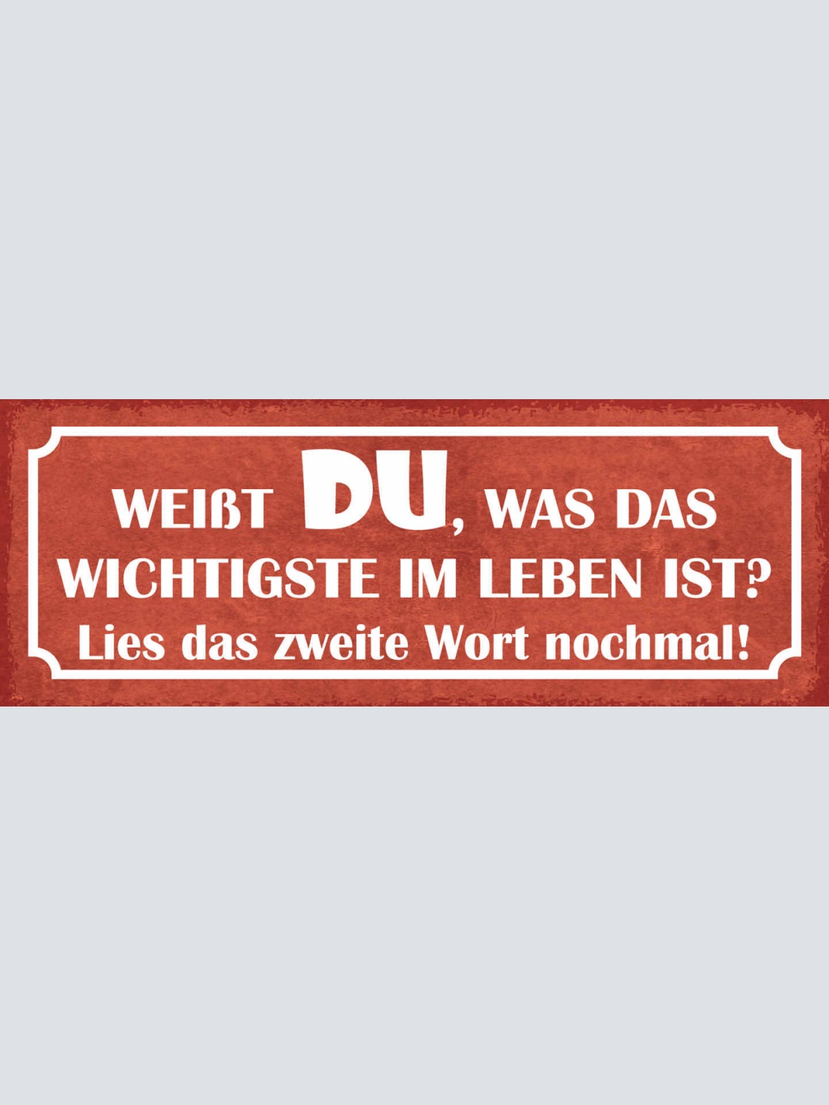 Schild Weißt Du Was Das Wichtigste Im Leben Ist Lies Das 2. Wort Nochmals 27x10