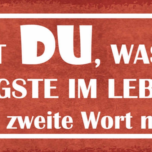 Schild Weißt Du Was Das Wichtigste Im Leben Ist Lies Das 2. Wort Nochmals 27x10