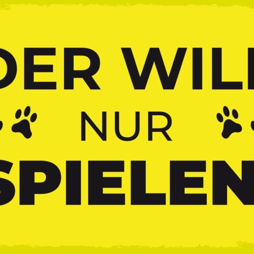 Schild Der Will Nur Spielen Hund Hundebesitzer 12x18 20x30 30x40 Blech/Holz