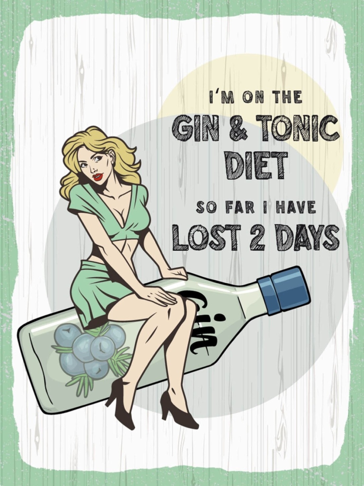 Schild I'm On The Gin & Tonic Diet 2 Days Alkohol 12x18 20x30 30x40 Blech/Holz