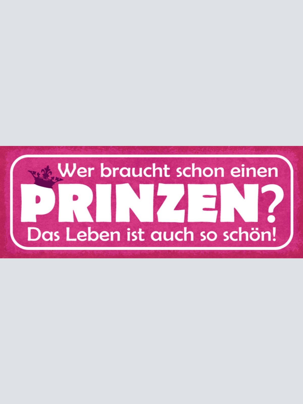 Schild Wer Braucht Schon Einen Prinzen Das Leben Ist Auch So Schön Liebe 27x10