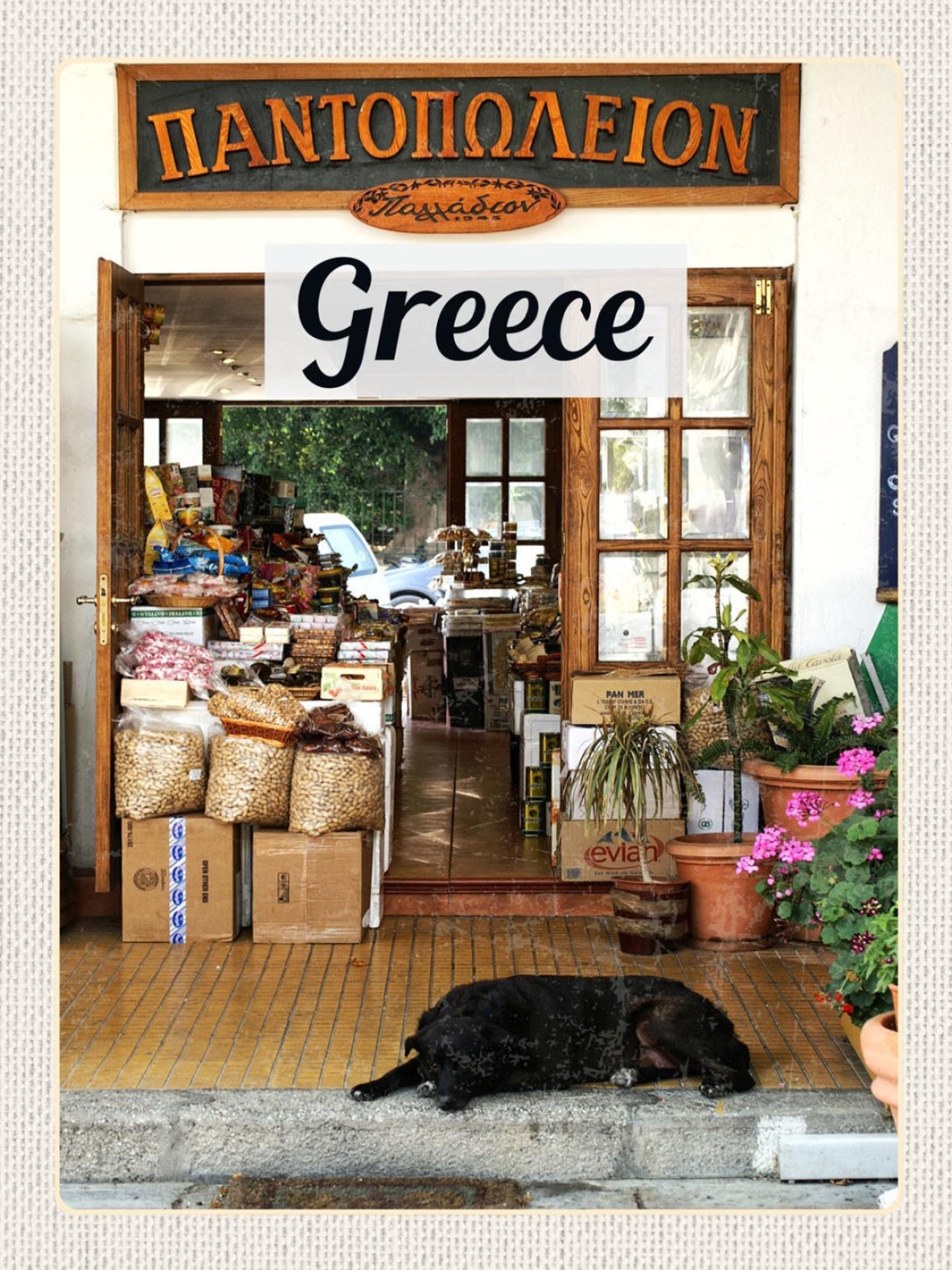 Schild Greece Griechenland Geschäft Laden Hund 12x18 20x30 30x40 Blech/Holz