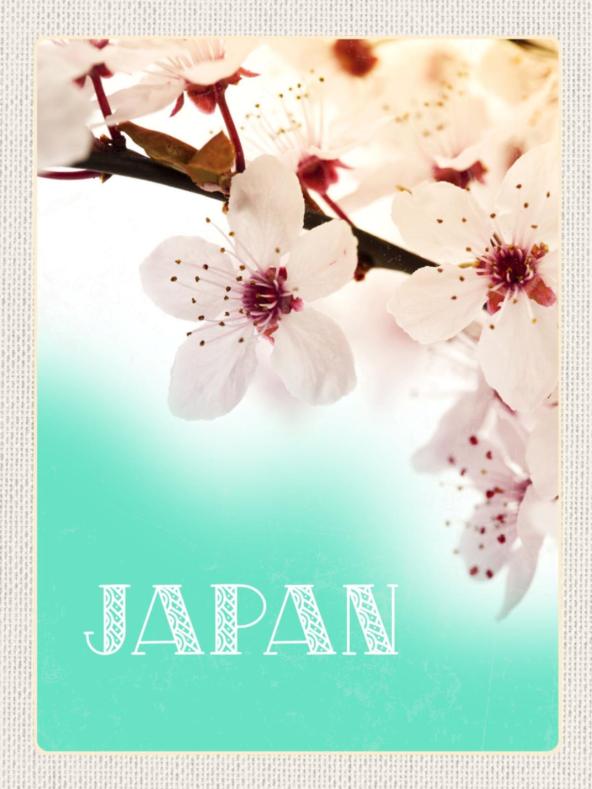Schild Japan Sakura Kirschblüte Baum Cherry Hanami 12x18 20x30 30x40 Blech/Holz