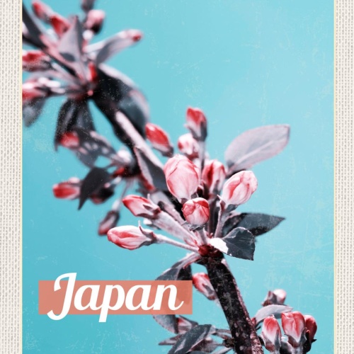 Schild Japan Sakura Kirschblüte Baum Knospen 12x18 20x30 30x40 Blech/Holz
