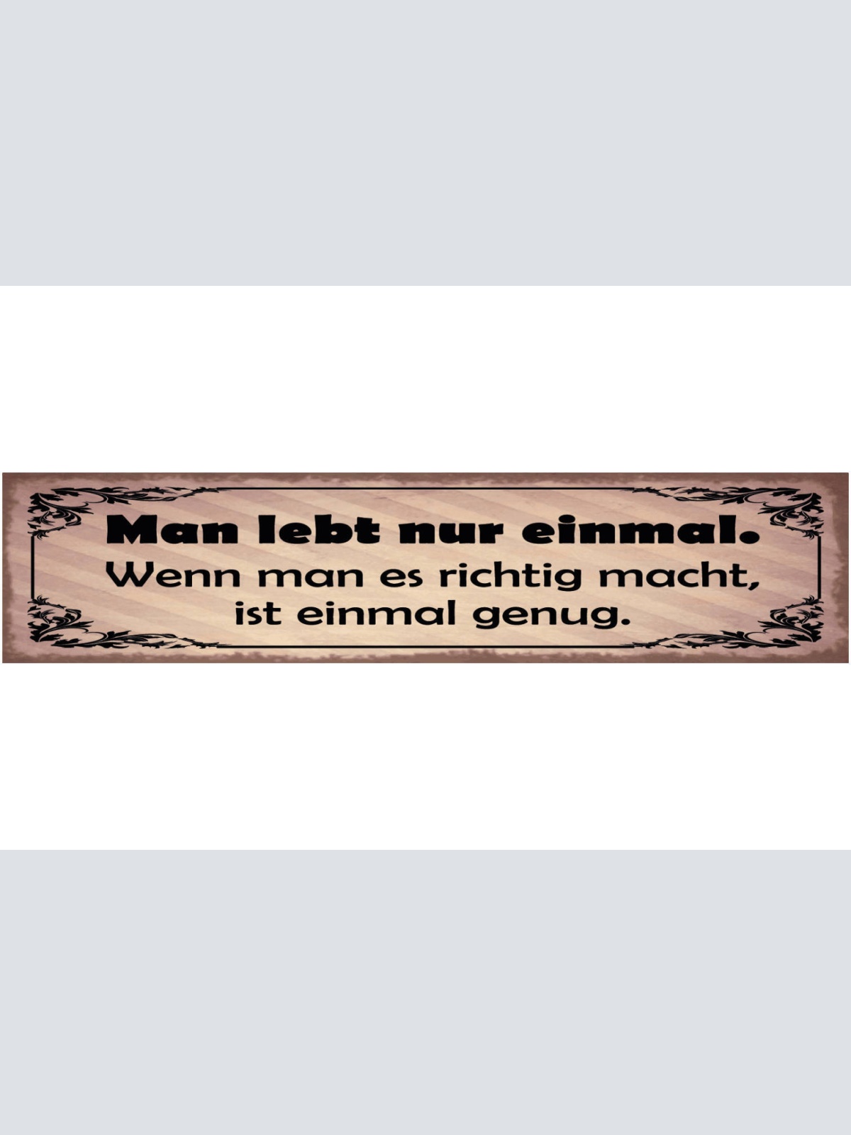 Schild Man Lebt Nur Einmal Wenn Man Es Richtig Macht Ist Einmal Genug 46 x 10