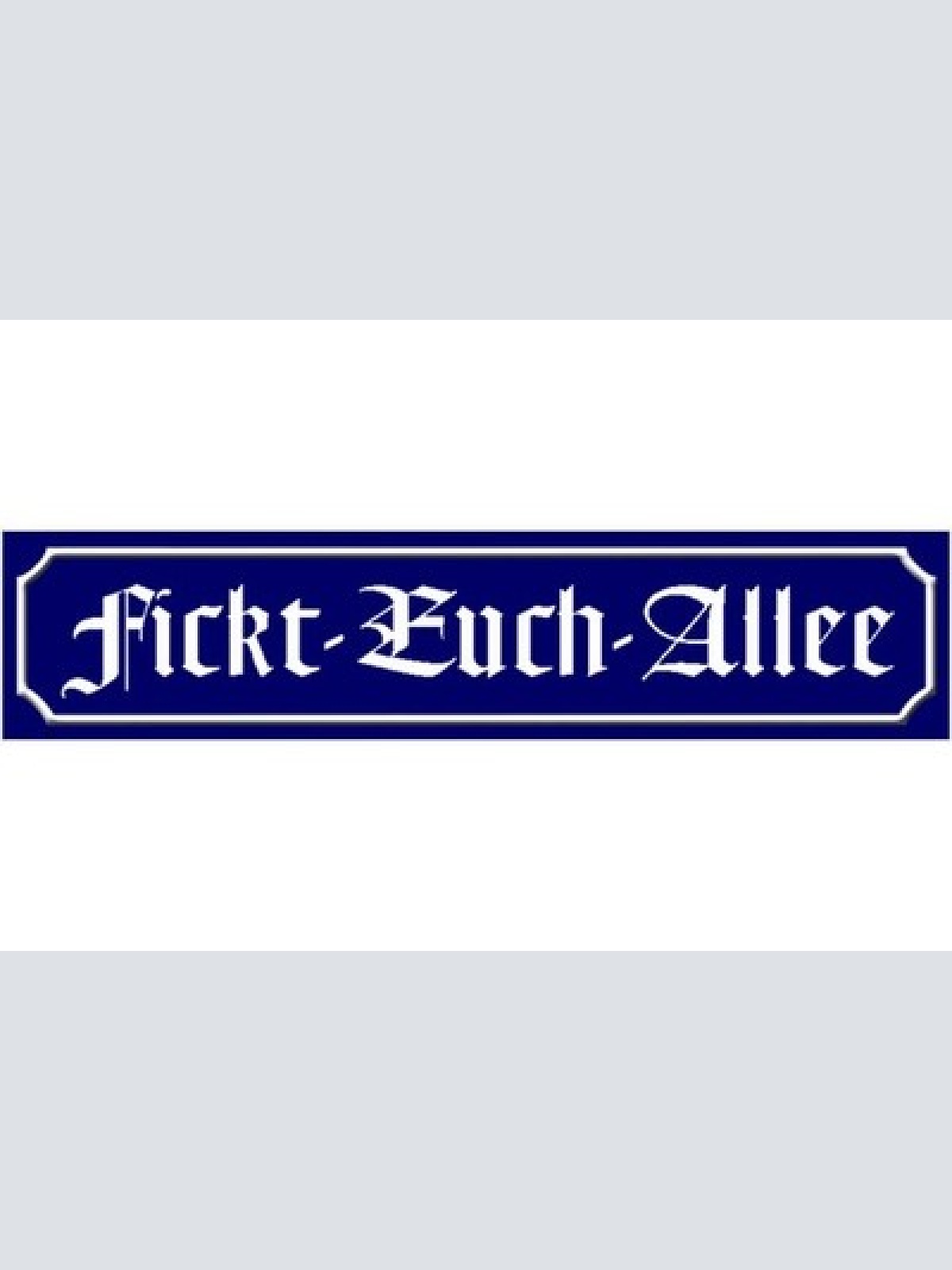 Schild Fickt Euch Allee Schimpfen Fluchen Ort Straße Platz 46 x 10 Blech od.Holz