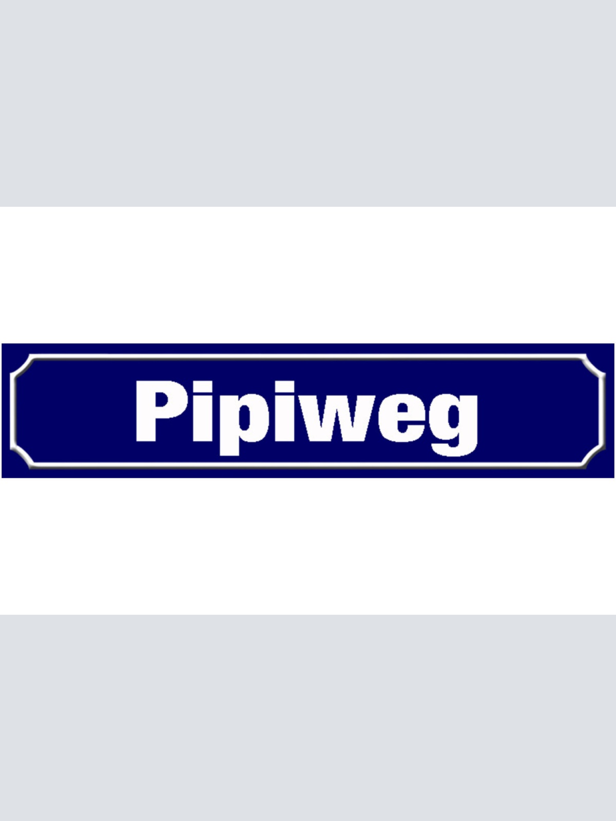 Schild Pipi Weg WC Toilette Klo Hund Ort Straße Platz 46 x 10 Blech od. Holz