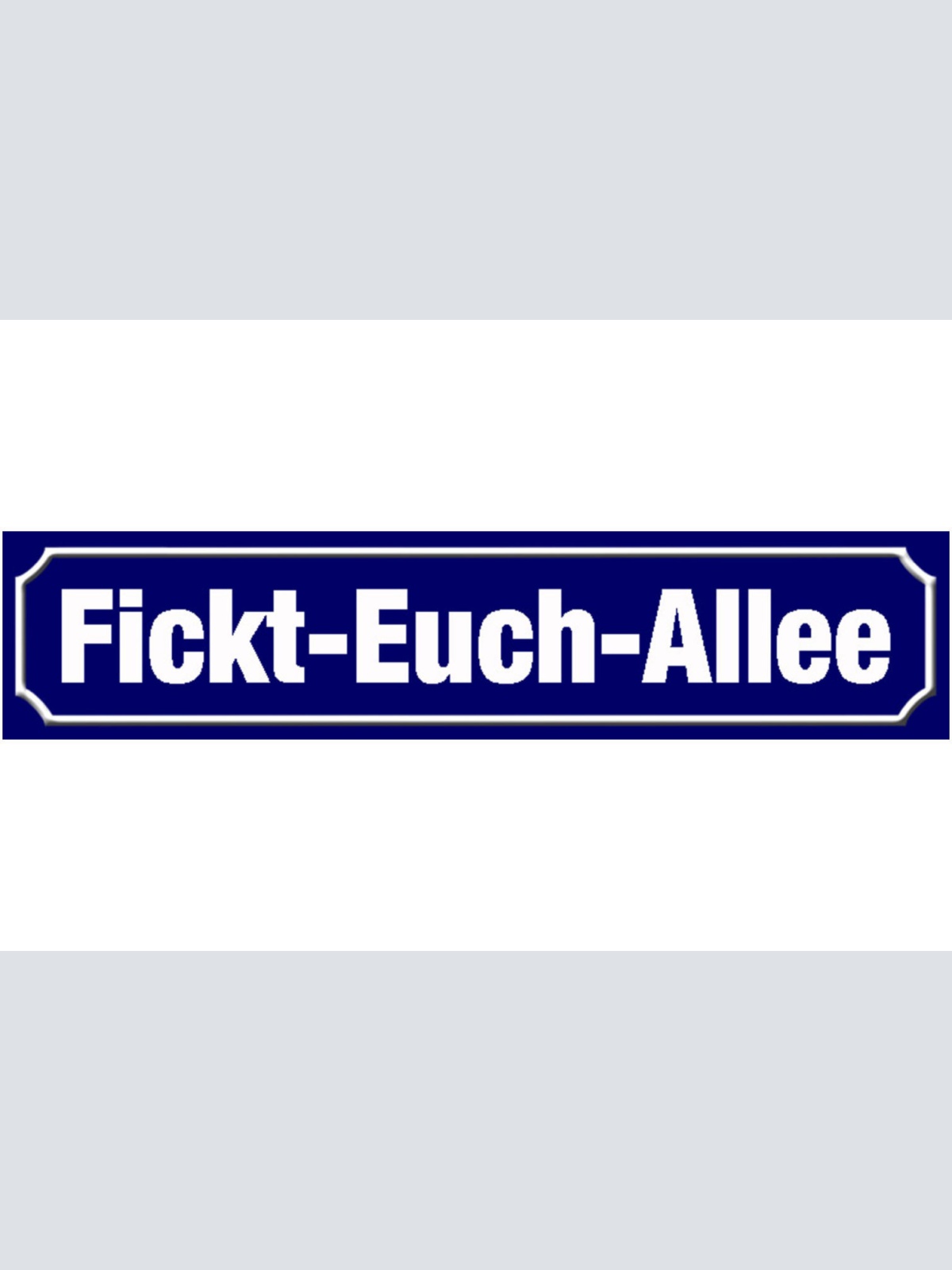 Schild Fickt Euch Allee Schimpfen Fluchen Ort Straße Platz 46 x 10 Blech od.Holz