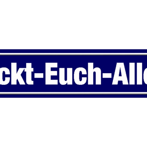 Schild Fickt Euch Allee Schimpfen Fluchen Ort Straße Platz 46 x 10 Blech od.Holz