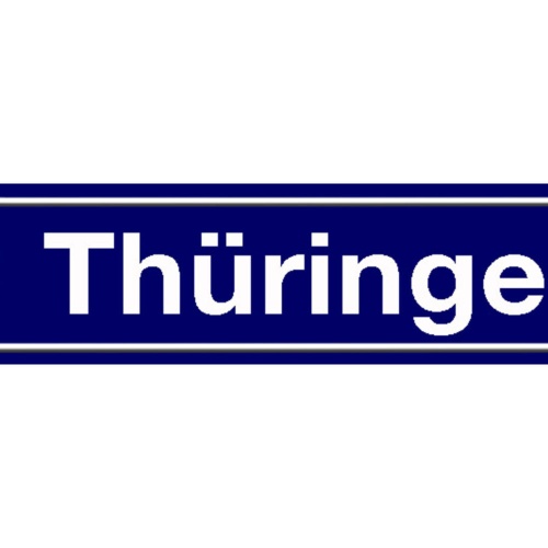 Schild Thüringen Deutschland Bundesland Ort Straße Platz 46 x 10 Blech od. Holz