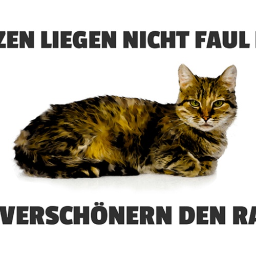 Schild Spruch Katzen liegen nicht faul rum Sie verschönern den Raum JW
