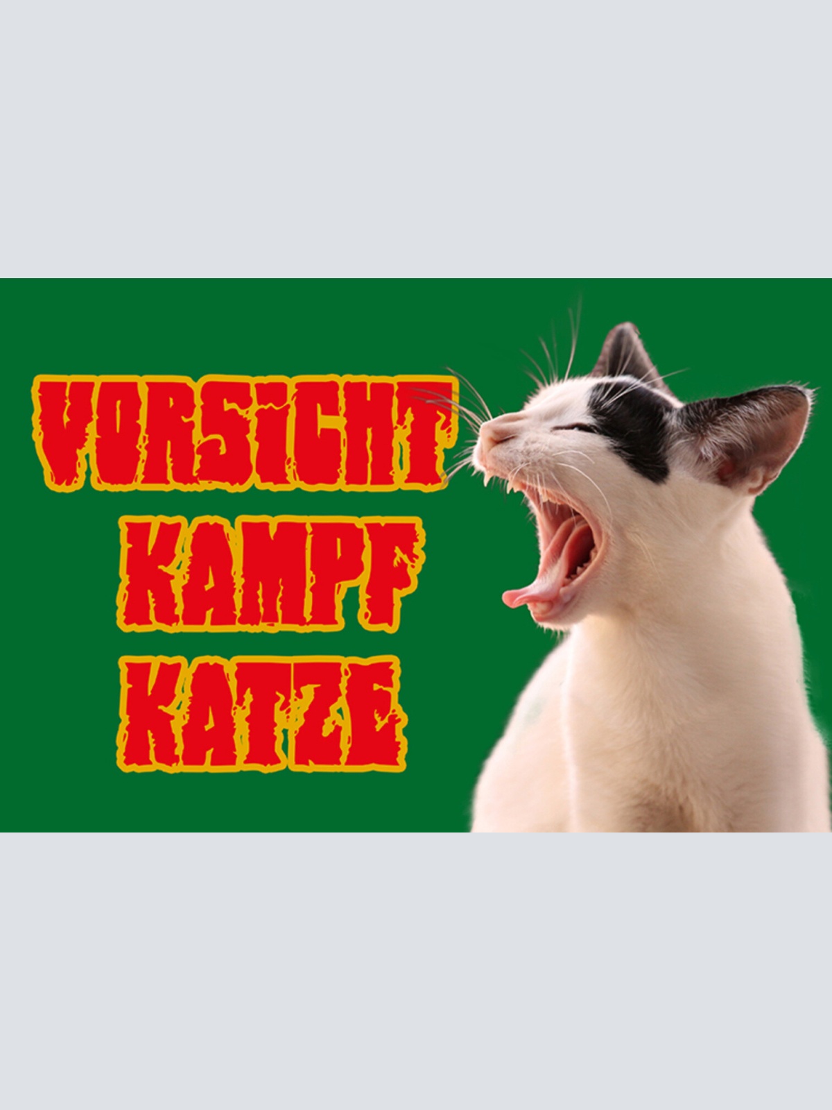 Schild Spruch Vorsicht Kampf-Katze Warnung Gefahr JW