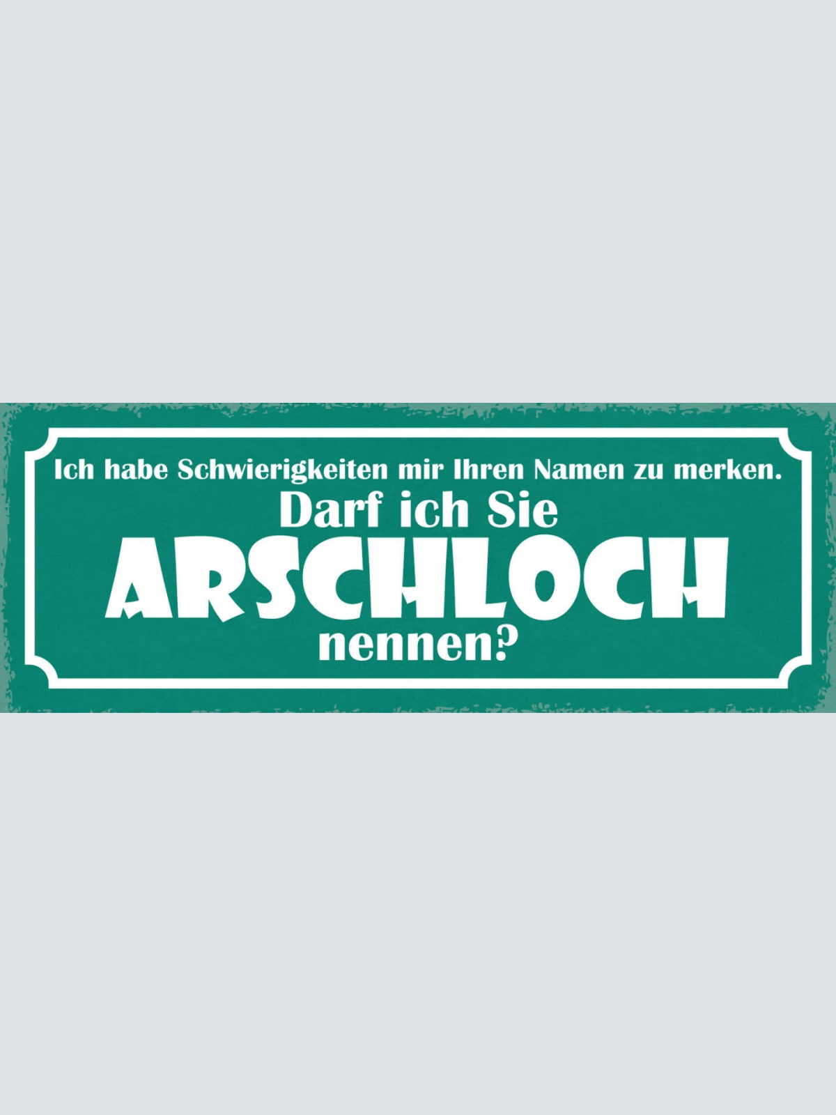 Schild Schwierigkeiten Ihren Namen Zu Merken Darf Ich Sie Arschlöch Nennen 27x10