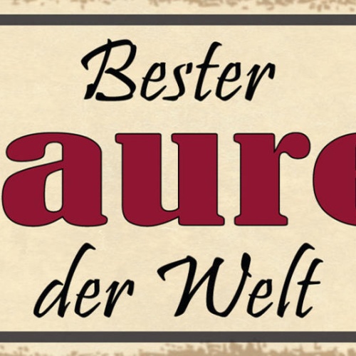 Schild Bester Maurer Der Welt Bau Handwerker Mauerwerk 27x10 Blech od.Holz