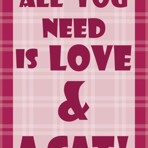 Schild Spruch All you need is Love & a cat Katze Katzen JW
