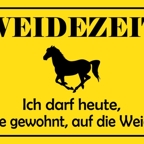 Schild Spruch Weidezeit Ich darf heute wie gewohnt auf die Weide Pferde JW