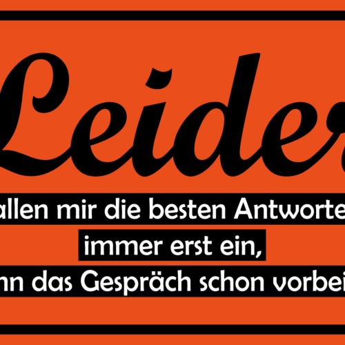 Schild Spruch Leider fallen mir die besten Antworten immer erst ein Gespräch JW