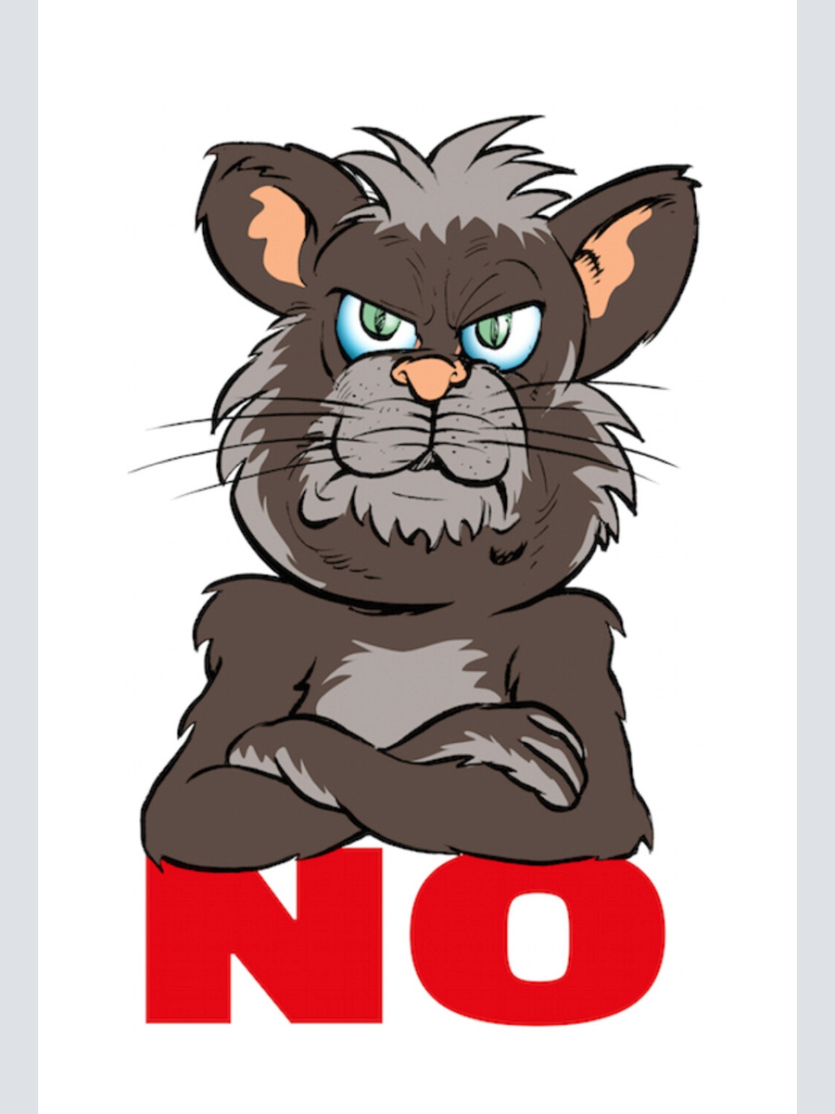 Schild Spruch No Nein Katze JW