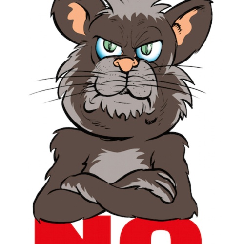 Schild Spruch No Nein Katze JW