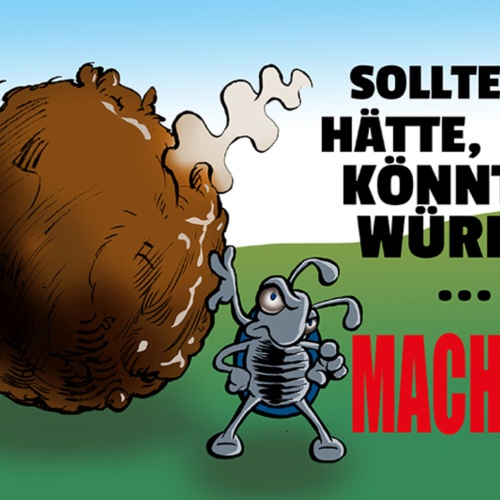 Schild Spruch Sollte Hätte Könnte Würde Machen Mistkäfer JW