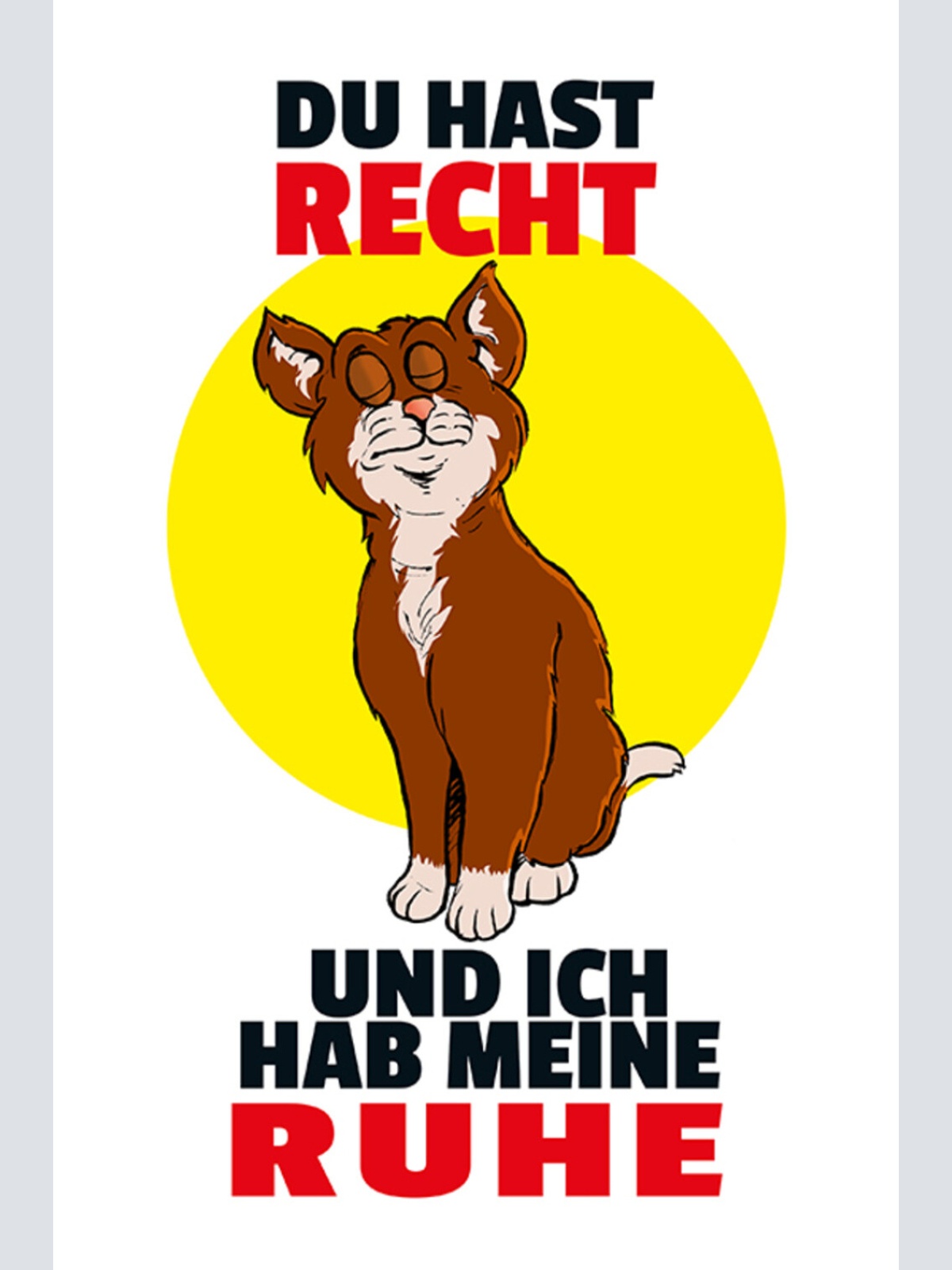 Schild Spruch Du hast recht und ich habe meine Ruhe Katze JW