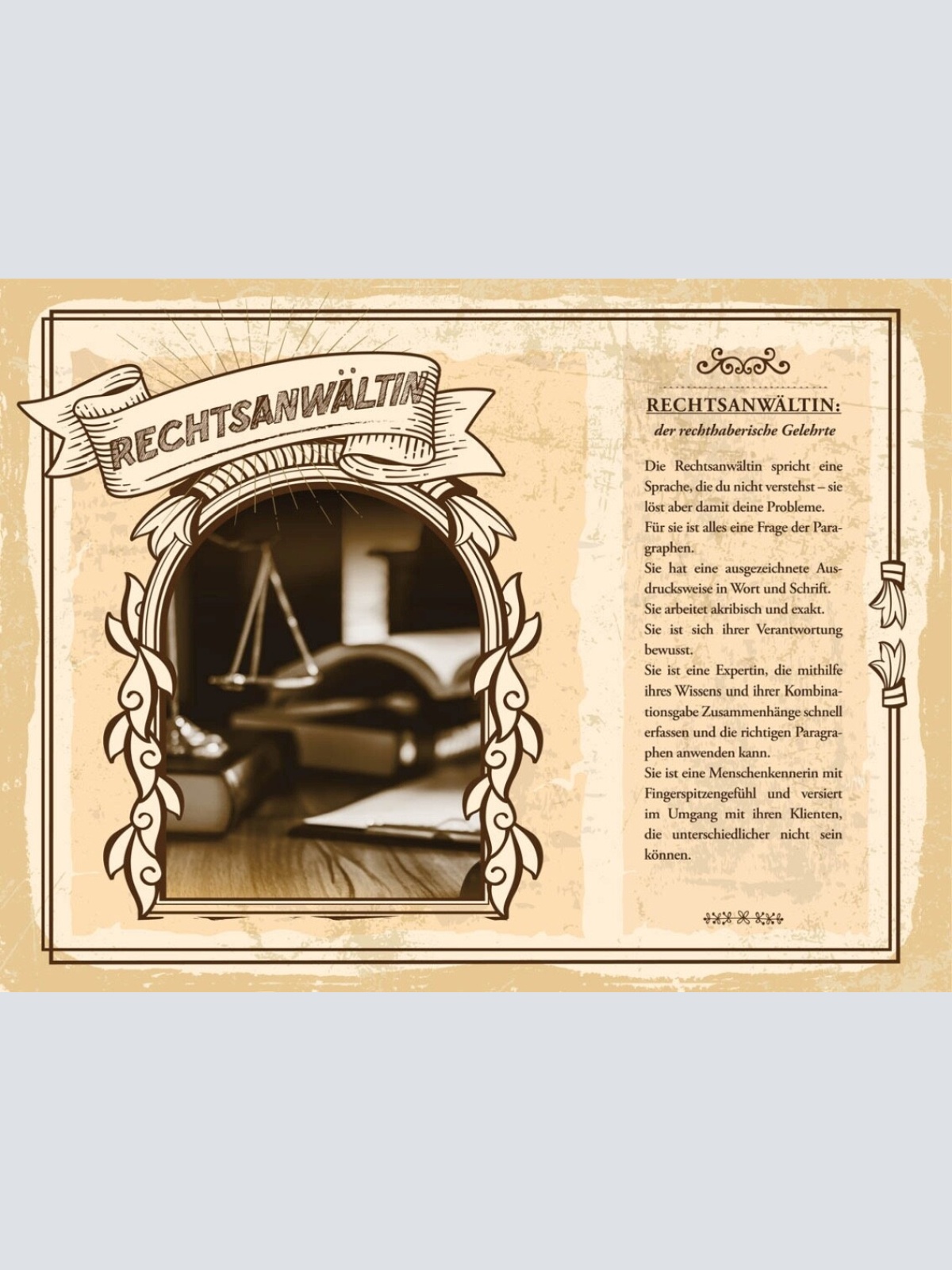 Schild Rechtsanwältin Beruf Recht Gesetz Gericht 12x18 20x30 30x40 Blech/Holz