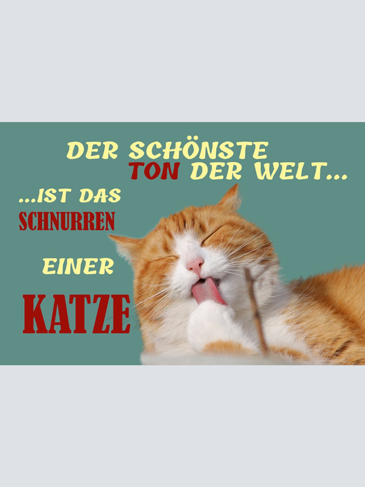 Schild Spruch Der schönste Ton der Welt ist das Schnurren einer Katze JW