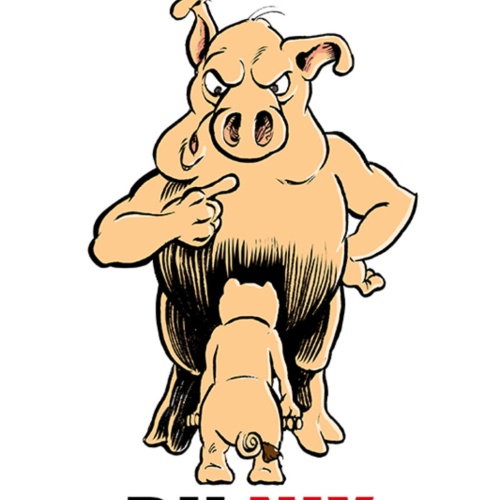 Schild Spruch Ich Chef Du nix Schwein JW