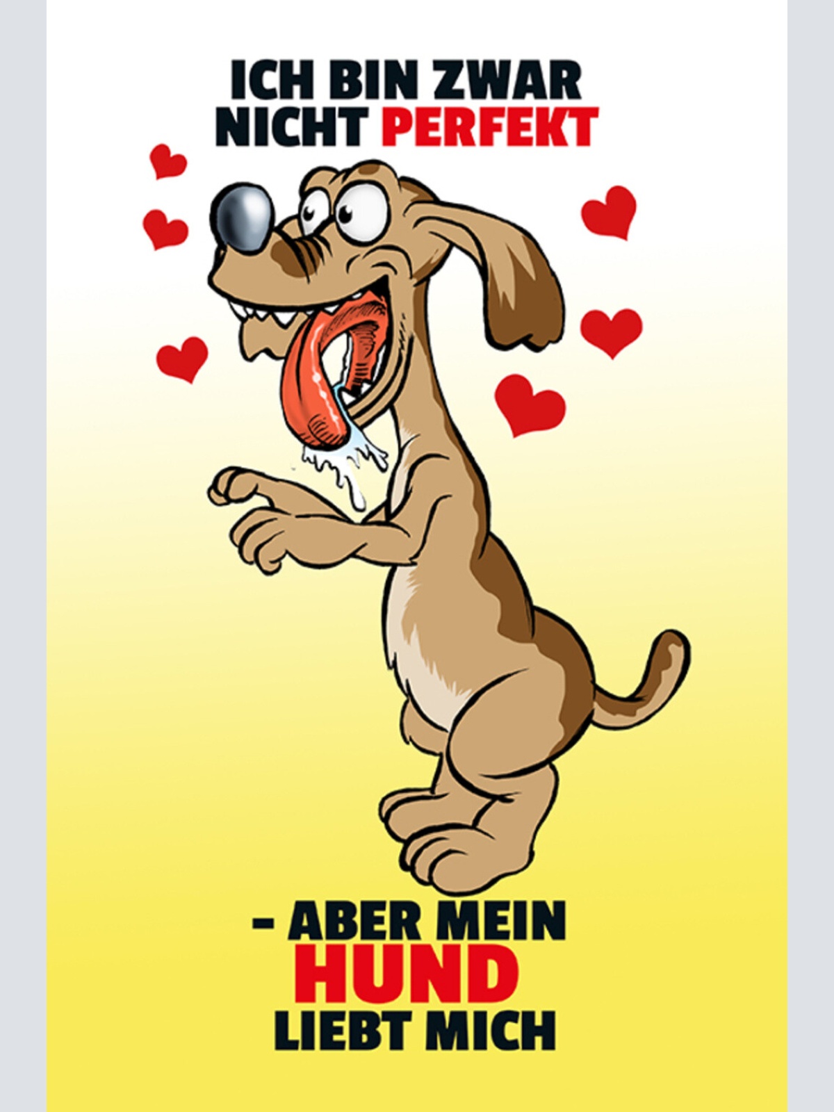 Schild Spruch Ich bin zwar nicht perfekt Aber mein Hund liebt mich JW