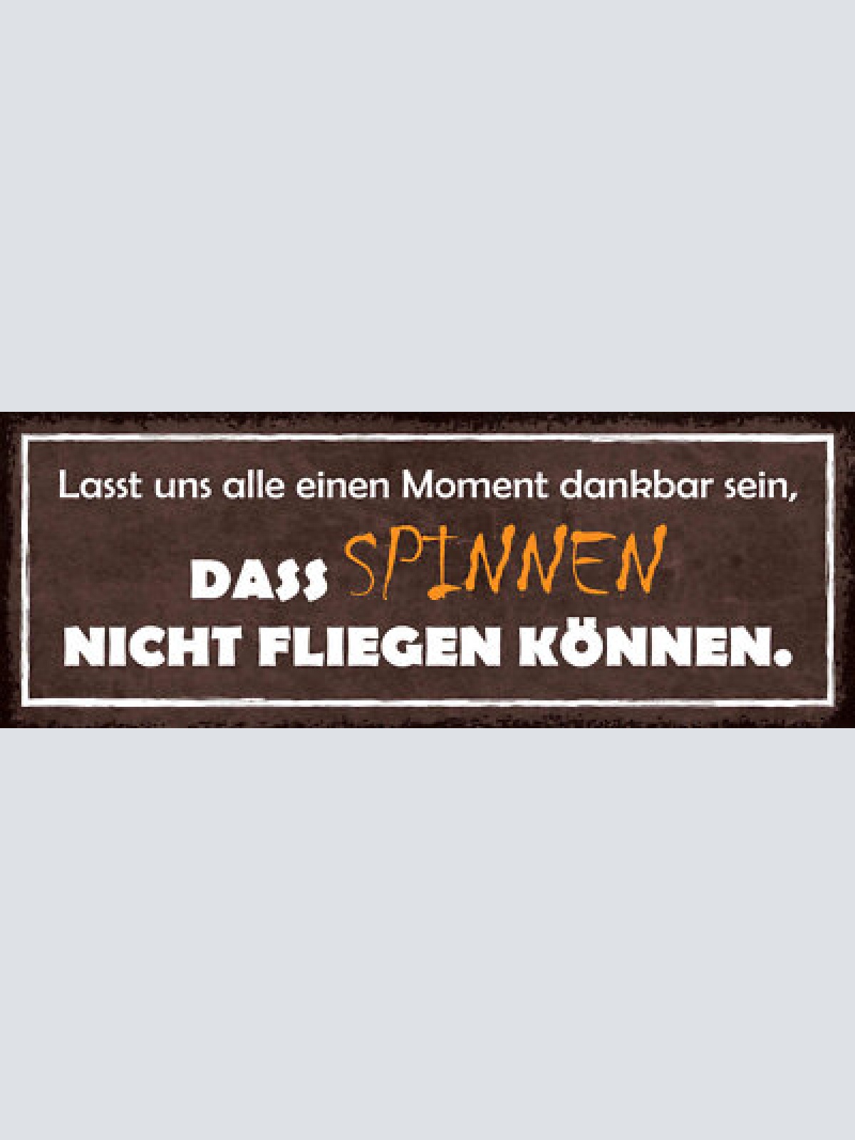 Schild lasst uns alle dafür dankbar sein dass spinnen nicht fliegen können 27x10