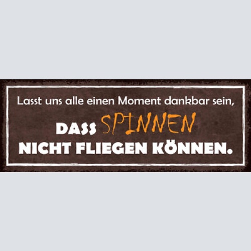 Schild lasst uns alle dafür dankbar sein dass spinnen nicht fliegen können 27x10
