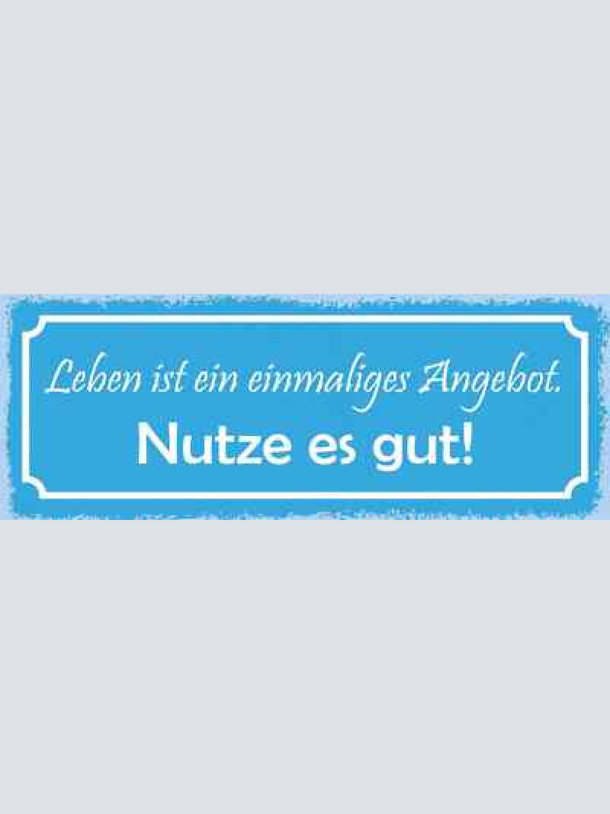 Schild leben ist ein einmaliges angebot nutze es gut 27x10 blech od.holz