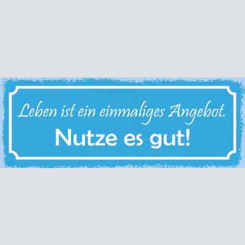 Schild leben ist ein einmaliges angebot nutze es gut 27x10 blech od.holz