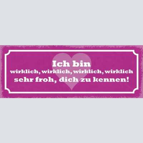 Schild ich bin wirklich 4x sehr froh dich zu kennen liebe 27x10 blech od.holz